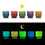 Reewape Drip Tip Résine 810 Couleur Aléatoire (10 pièces/paquet) – AS116F - 1 Paquet
